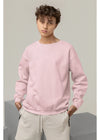 Light Baby Pink Sweatshirt